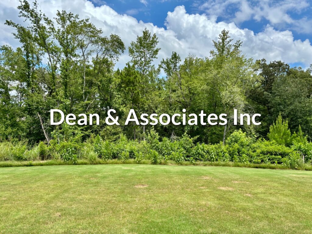 Open backyard with mature tree line at 464 Crossbridge Rd rental home in Chelsea, Alabama
